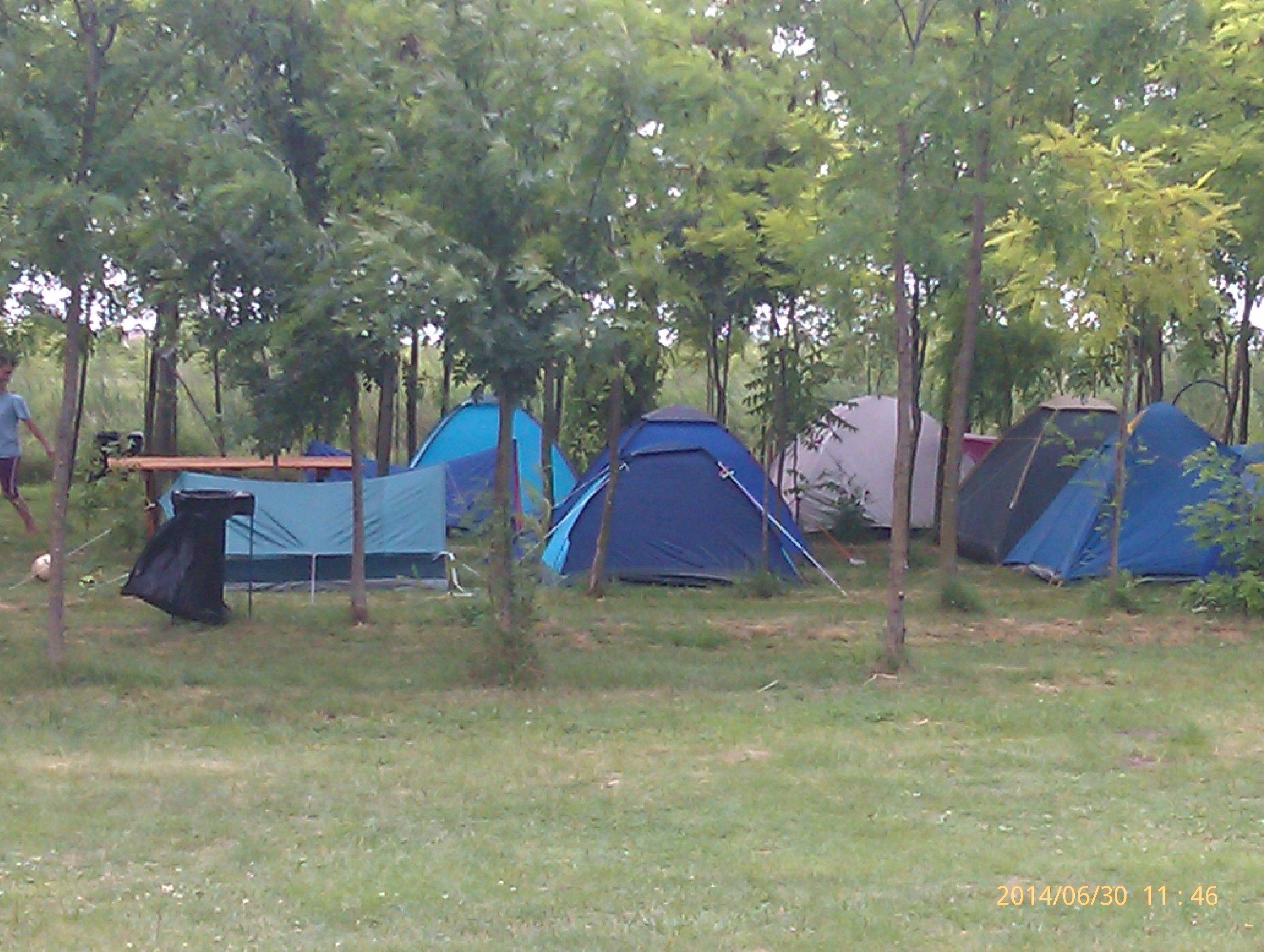 IMAG0033.jpg