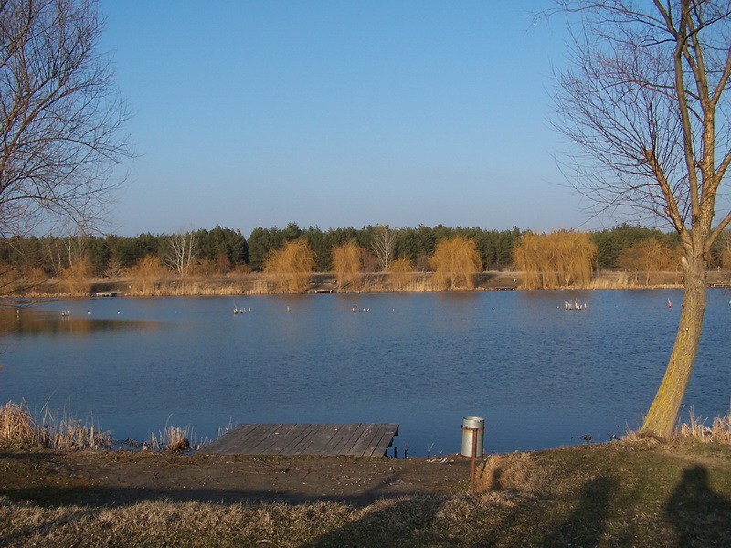 tozeg 001_resize.JPG