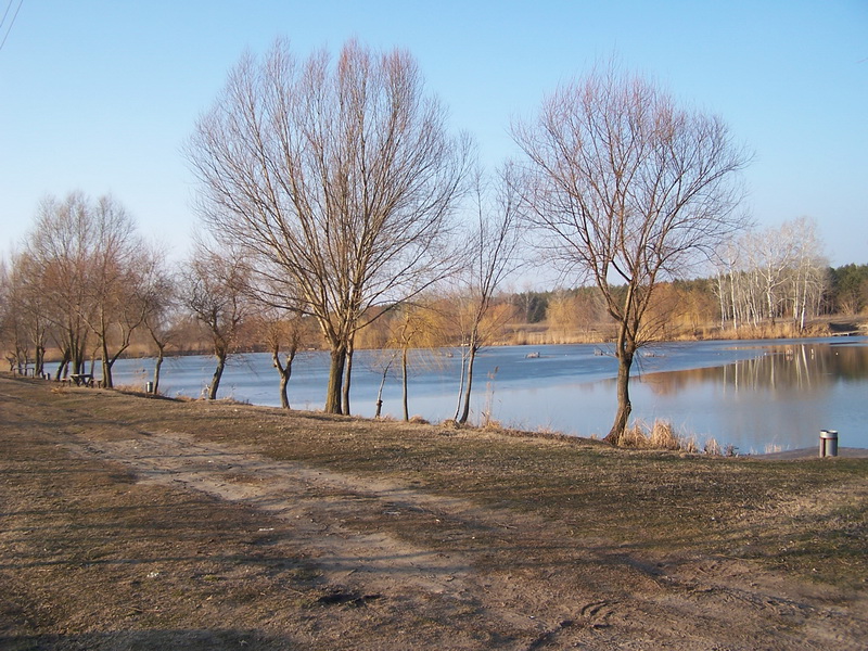 tozeg 013_resize.JPG