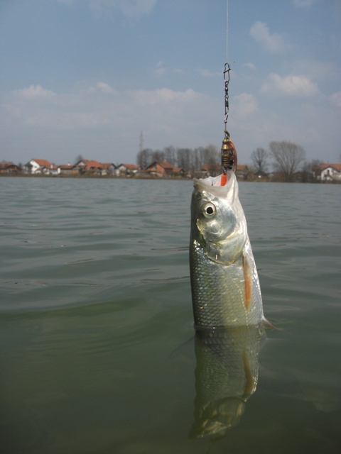 DSCF2983.jpg