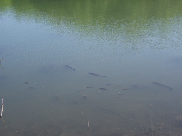 DSCF3199.jpg
