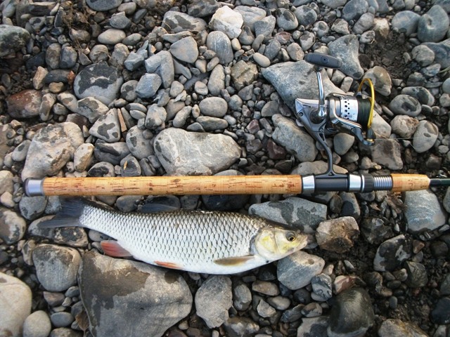 DSCF3471.jpg