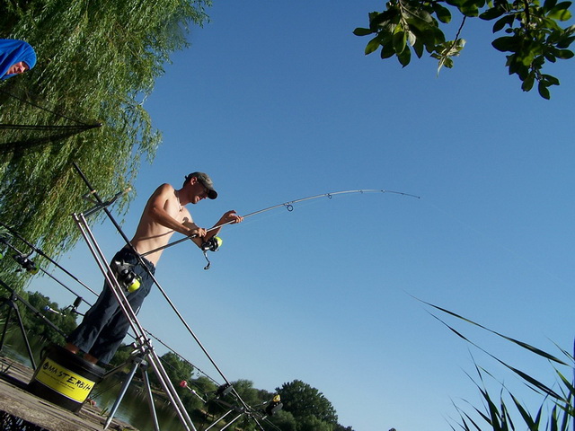 free carp 007_resize_resize.JPG