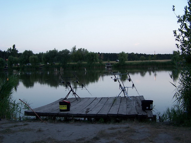 free carp 019_resize_resize.JPG