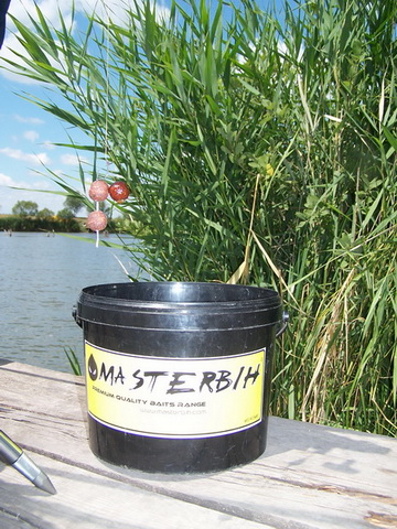 free carp 007_resize_resize.JPG