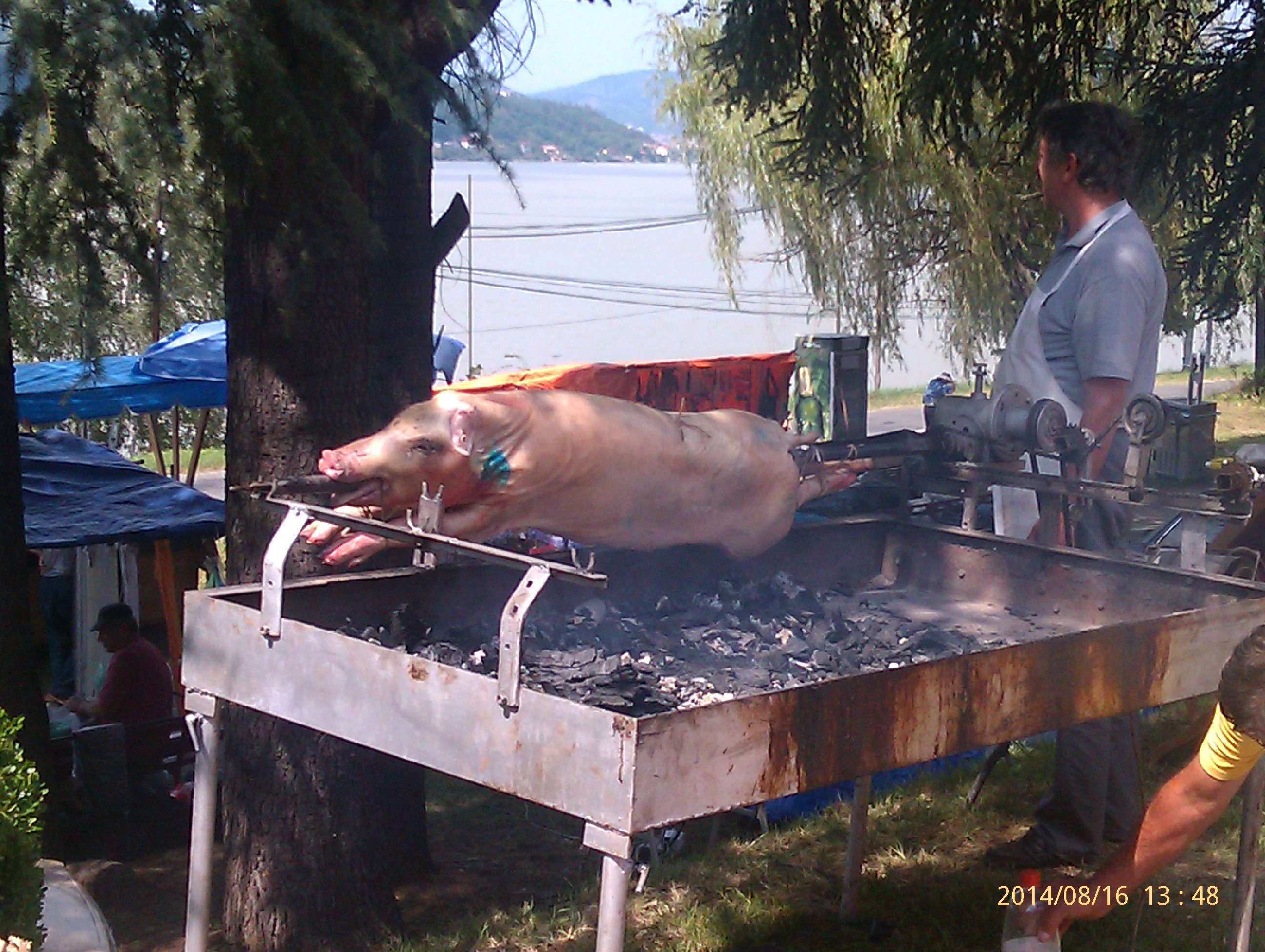 IMAG0313.jpg