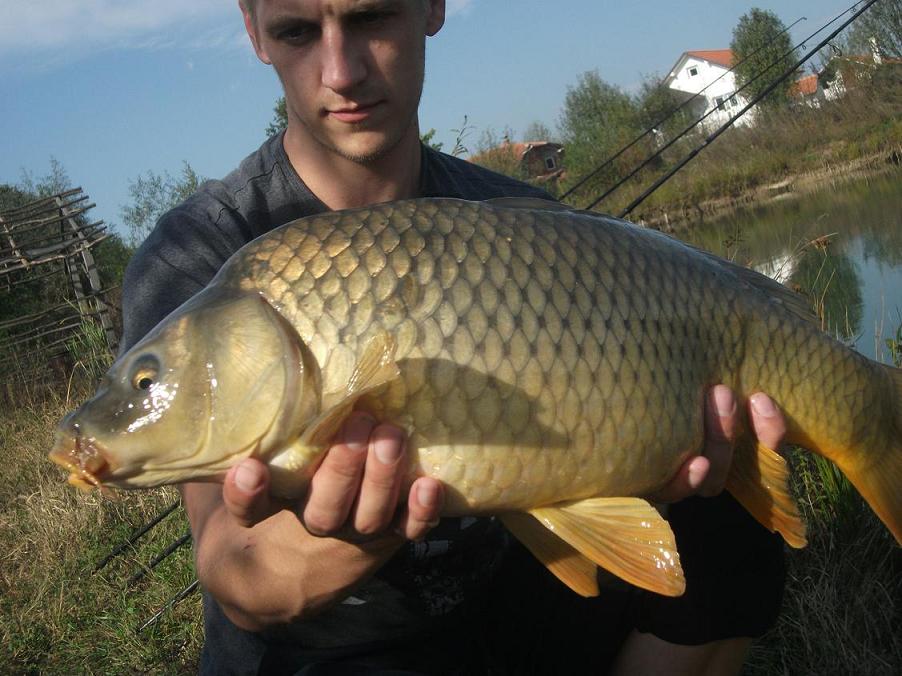 DSCF3818.JPG
