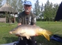 Feeder Carp