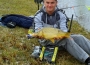 fider-carp-basic-masterbih