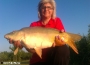 Masterbih Feeder Carp