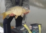 masterbih-carp-feeder-ribolov-zima