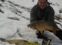 masterbih-carp-feeder-winter-zima