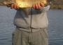 masterbih-carp-zimski