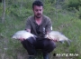 masterbih-deverika-feeder