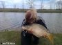 masterbih-feeder-carp-proljece-fider-ribolov