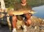 masterbih-feeder-sava-ribolov-keciga